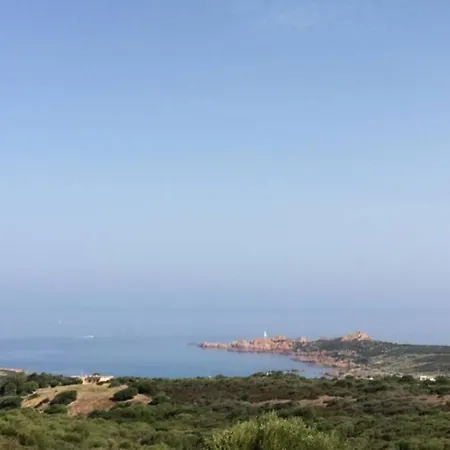 Apartment Grazioso